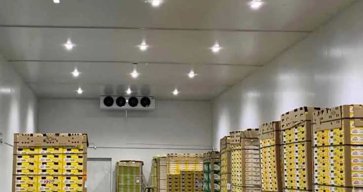 水果保鮮庫(kù)防潮防水層設(shè)置 水果保鮮庫(kù)防潮防水層設(shè)置