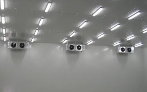 氣調冷庫 氣調冷庫