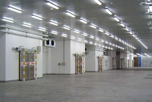 低溫冷庫 低溫冷庫