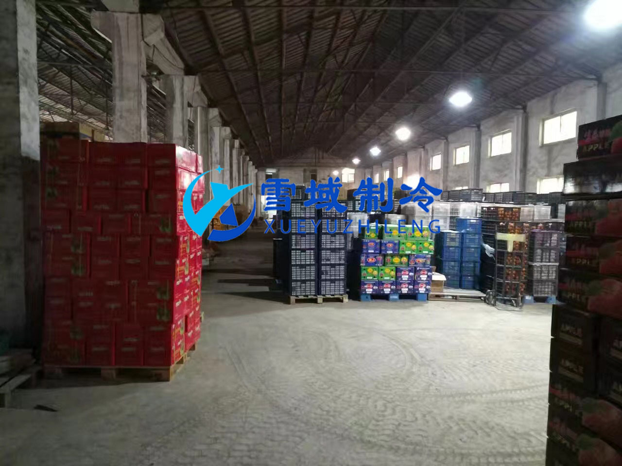 南京某水果公司水果冷庫(kù)現(xiàn)場(chǎng)圖片 南京某水果公司水果冷庫(kù)現(xiàn)場(chǎng)圖片