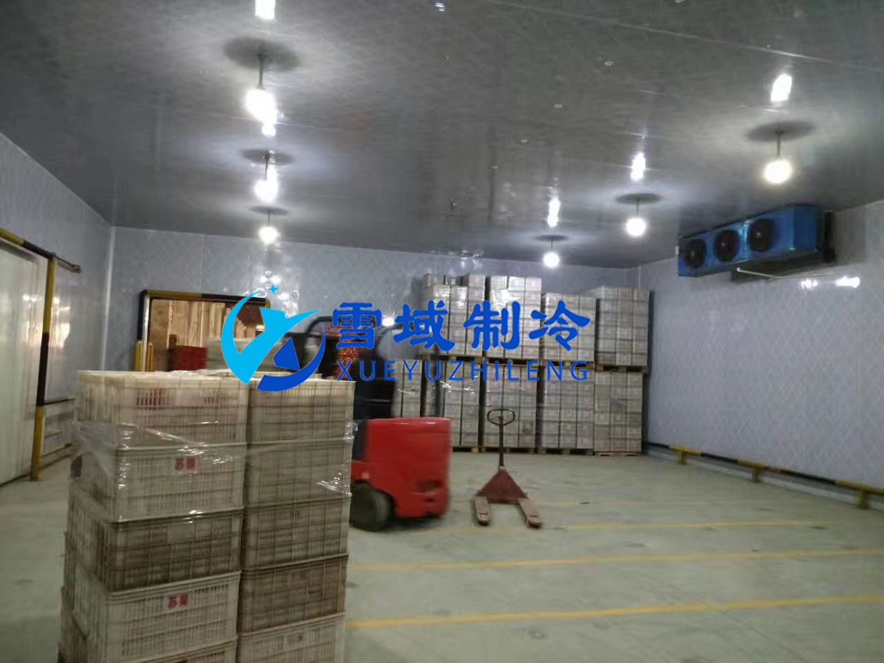 南京某水果公司水果冷庫(kù)現(xiàn)場(chǎng)圖片 南京某水果公司水果冷庫(kù)現(xiàn)場(chǎng)圖片