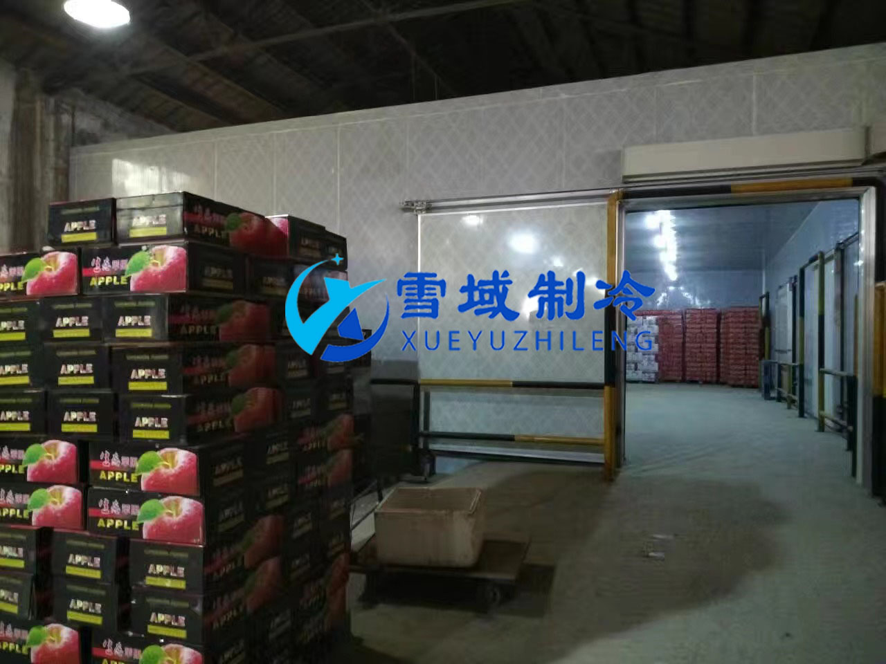 南京某水果公司水果冷庫(kù)現(xiàn)場(chǎng)圖片 南京某水果公司水果冷庫(kù)現(xiàn)場(chǎng)圖片