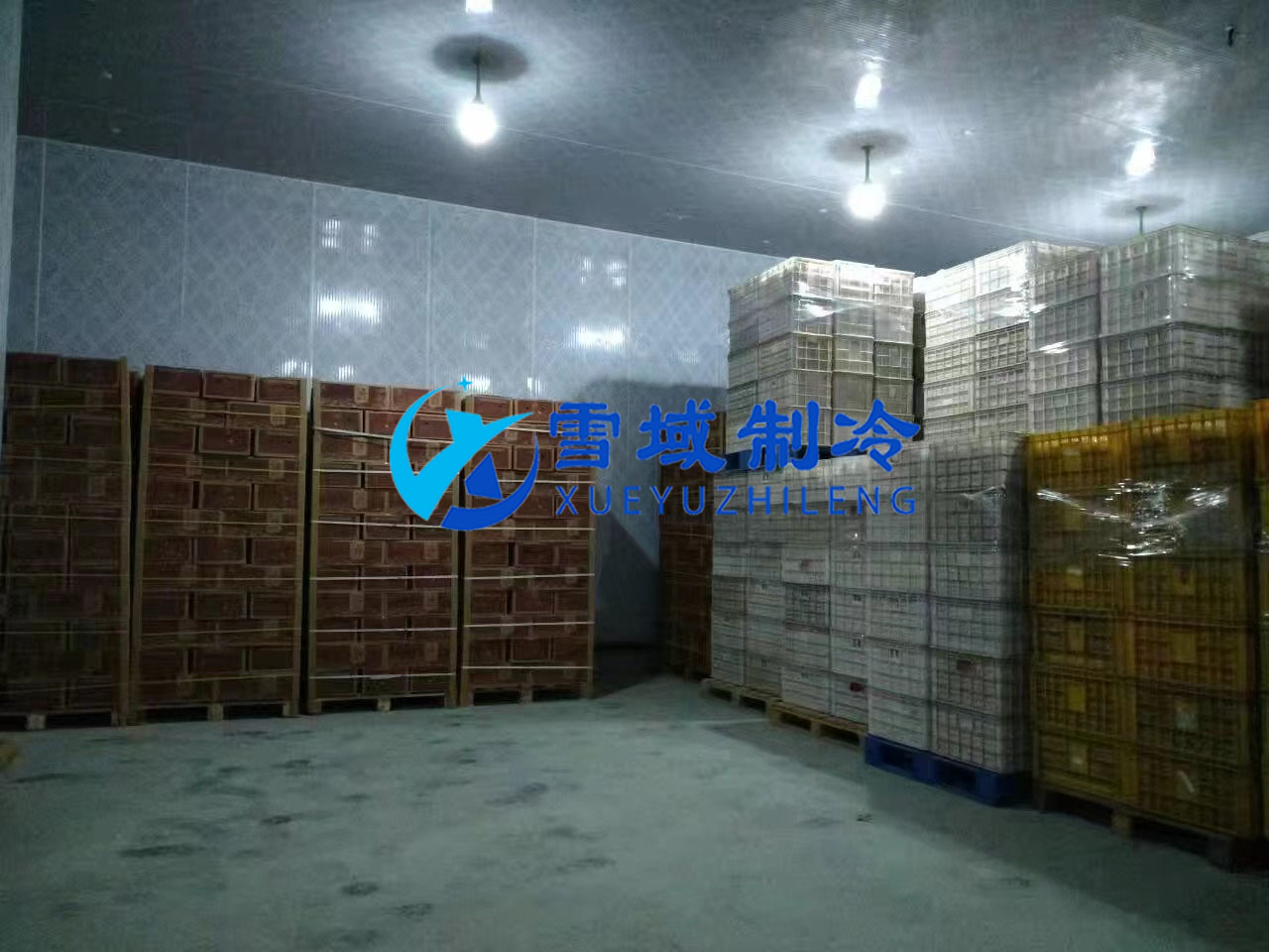 南京某水果公司水果冷庫(kù)現(xiàn)場(chǎng)圖片 南京某水果公司水果冷庫(kù)現(xiàn)場(chǎng)圖片