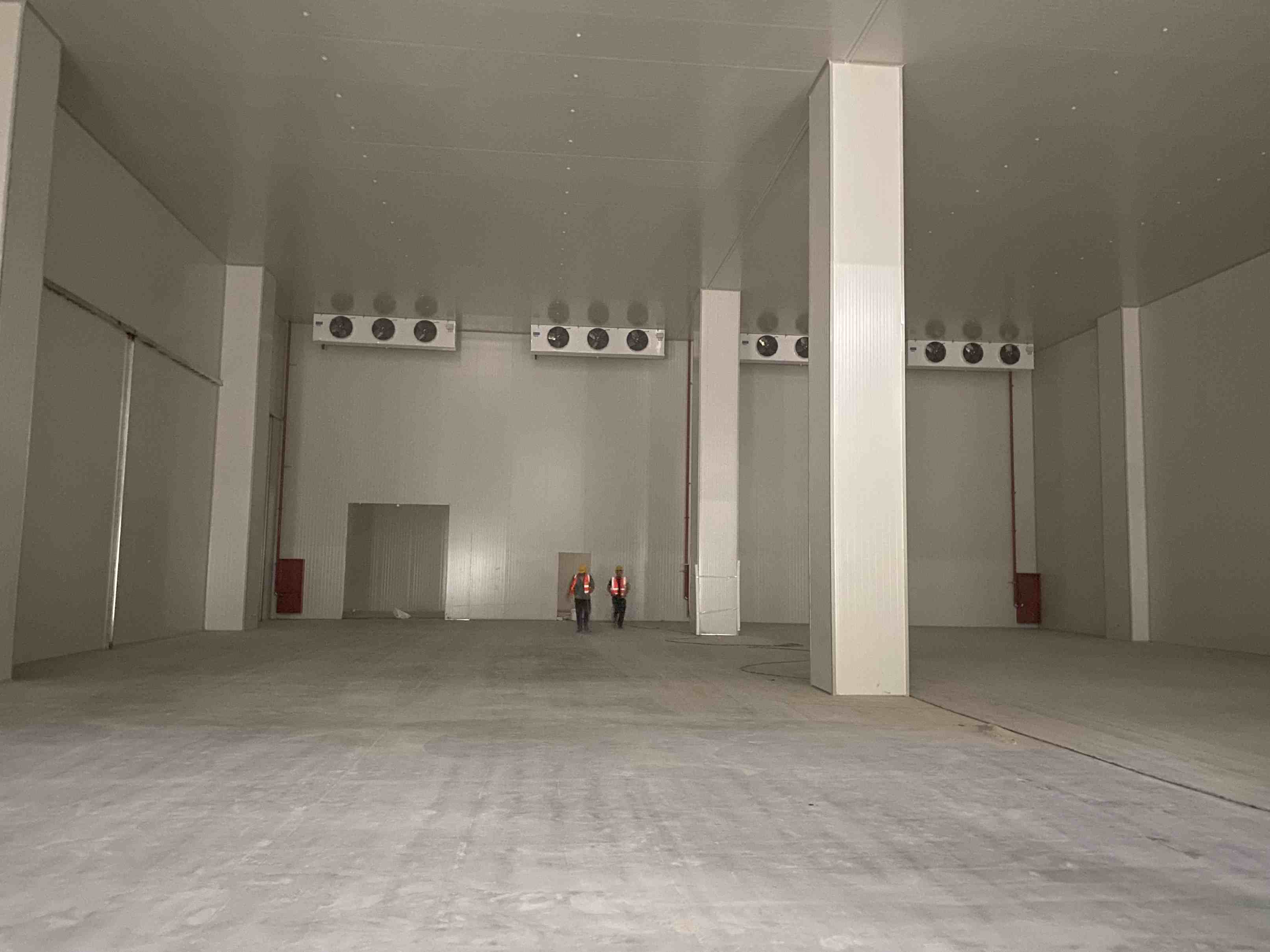 保鮮庫怎樣儲存蔬菜和水果 保鮮庫怎樣儲存蔬菜和水果