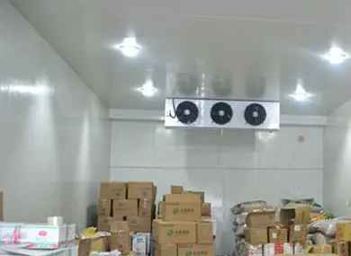 建100平方冷庫需要成本多少錢 建100平方冷庫需要成本多少錢