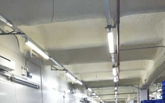 速凍冷庫建造要多少錢 速凍冷庫建造要多少錢