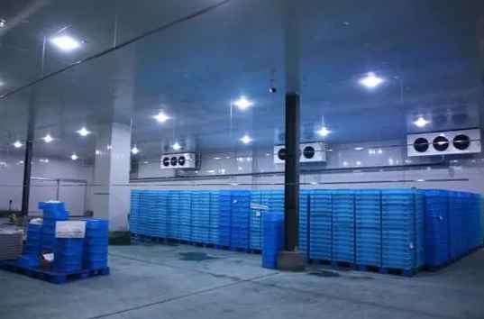 冷庫設(shè)計標準是什么 冷庫設(shè)計標準是什么