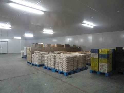 冷庫儲存黃瓜能儲存多長時間 冷庫儲存黃瓜能儲存多長時間